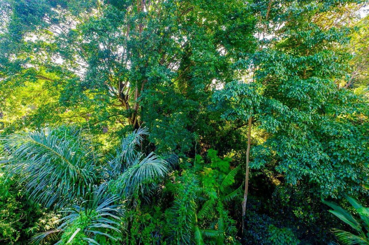 Bali Ubud Harmony Luaran gambar