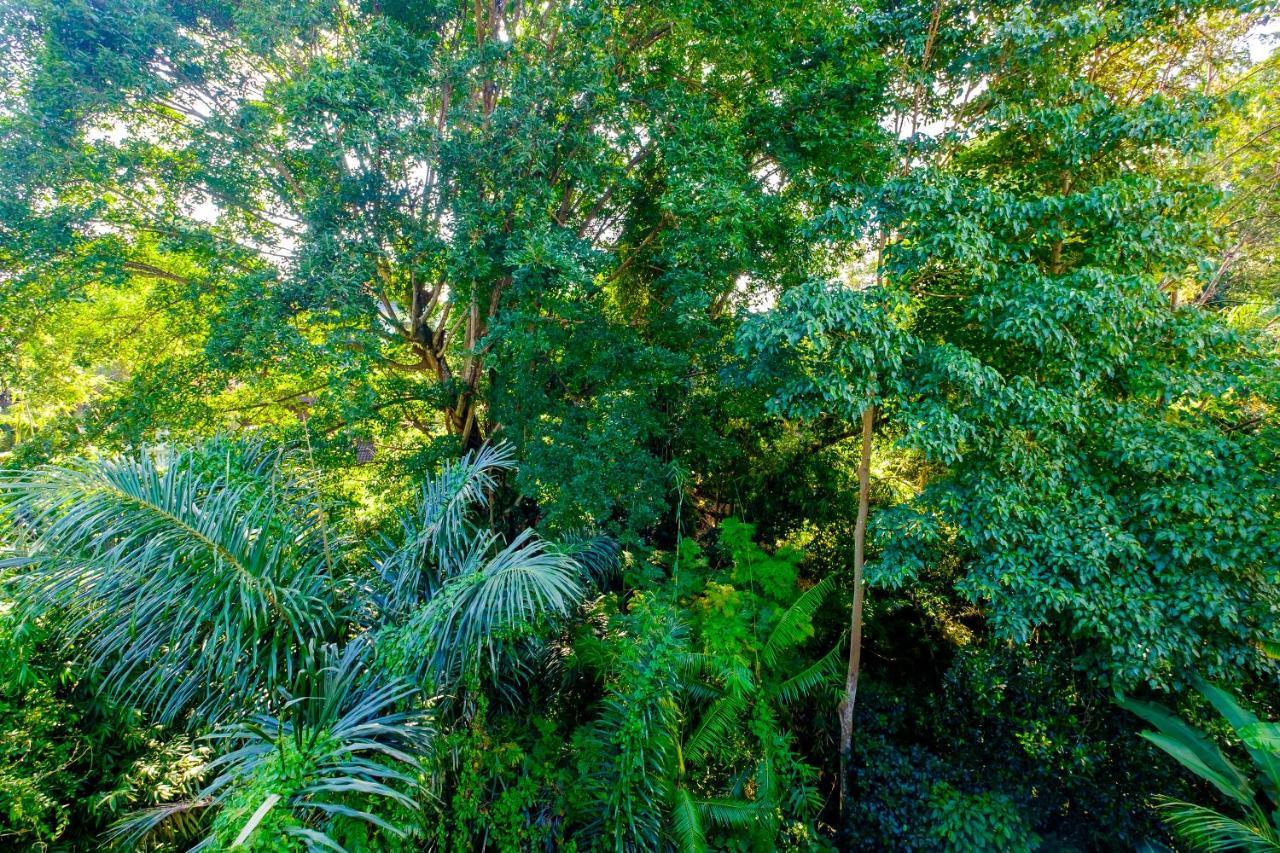 Bali Ubud Harmony Luaran gambar